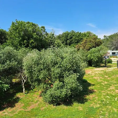 Villa Eucaliptus Istrien Rovinj Exterior photo