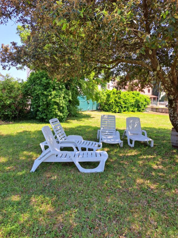 Eucaliptus Istrien Apartment Rovinj