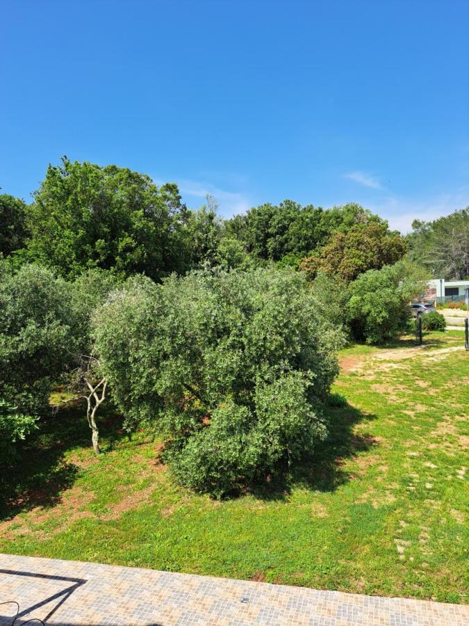 Apartman Eucaliptus Istrien