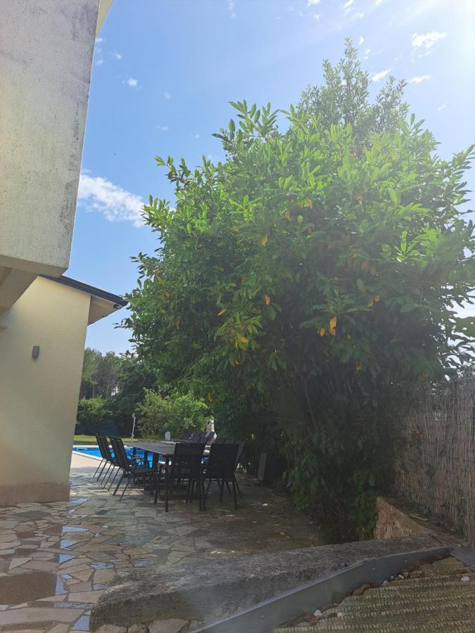 Eucaliptus Istrien Apartment Rovinj